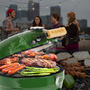 Ceramic BBQ Grill 8inch, Easy to carry, for Outdoor Cooking, Picnic, Patio, Backyard,green