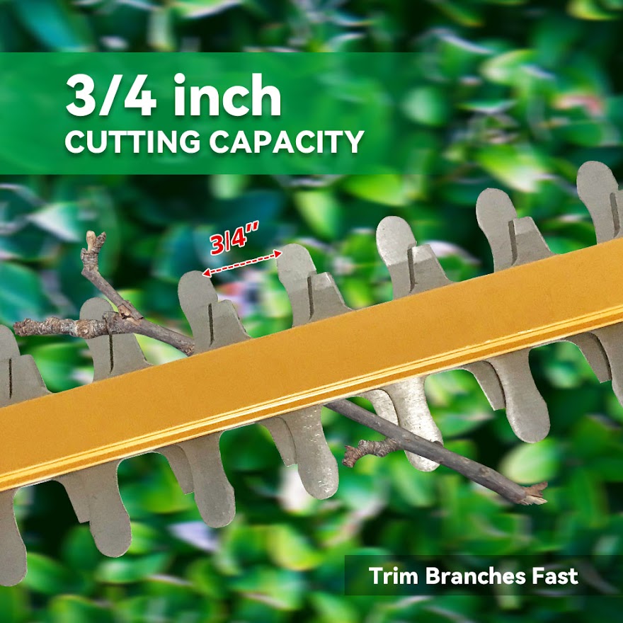 ZEGJAW 20V Cordless Hedge Trimmer with 22inch Dual Action Blade, Comfortable Grip Handle, Include 20V Removable Battery