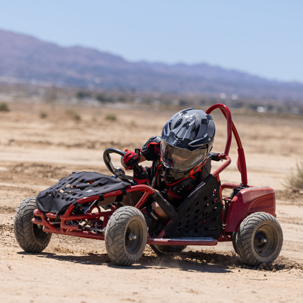 Electric Go Kart for Kids, 1000W 48V Powered Ride On Toy, Ride On Car for Boys and girls, Max Speed 20Mph, Age 13+