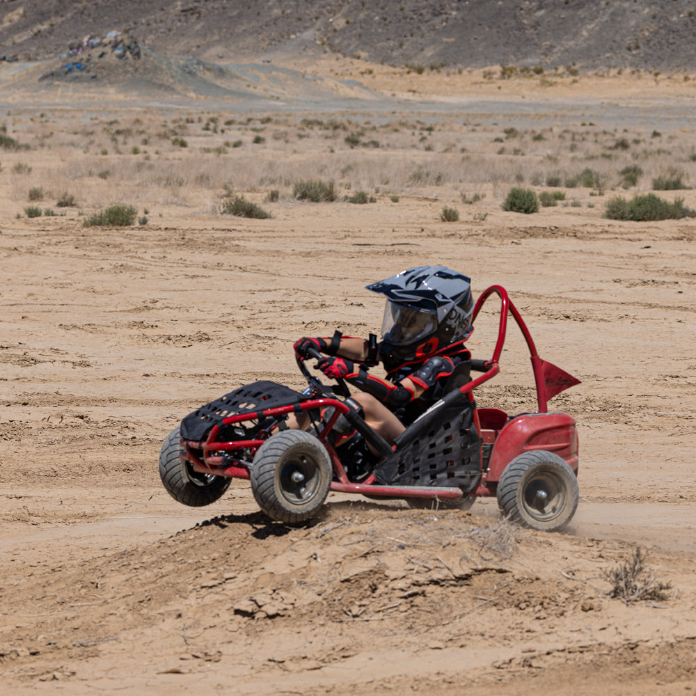 Electric Go Kart for Kids, 1000W 48V Powered Ride On Toy, Ride On Car for Boys and girls, Max Speed 20Mph, Age 13+