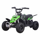 SKRT MONSTER INSECT 24V 100W ALL TERRIAN MINI ELECTRIC QUAD BIKE ATV FOR KIDS (6~12 YEARS OLD)Green