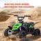 SKRT MONSTER INSECT 24V 100W ALL TERRIAN MINI ELECTRIC QUAD BIKE ATV FOR KIDS (6~12 YEARS OLD)Green