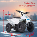 Hoverheart XW-EA14 350W  24V ATV Quad Bike Powered Ride-On