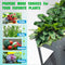 Raised Planter Box with Legs Outdoor Elevated Garden Bed On Wheels for Vegetables Flower Herb Patio