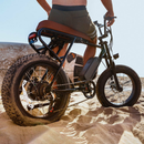 Mini Swell  E-Bike,  4-Inch Wide Tires, Shimano 6-Speed, Speed Monitor, 3 Model Assistant, Feet Free, Battery Locker