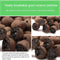 Premium Organic Expanded Clay Pebbles, Ceramsite Gardening Cultivation Soil, Clay Growing Media, 2 Bags/Pack - Net Weight 22 LBS
