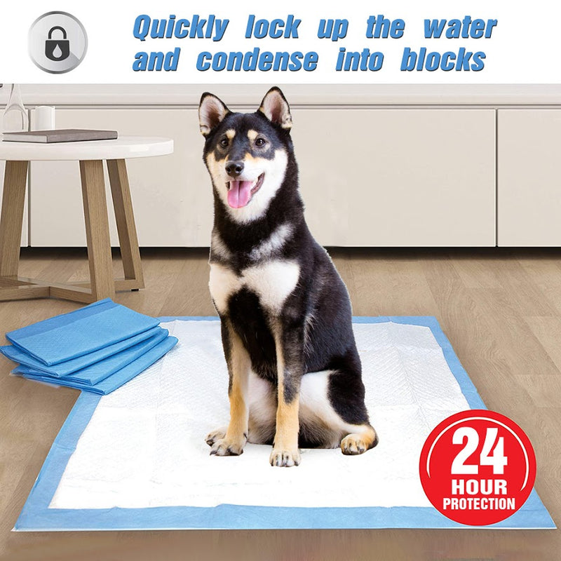 KAPAS 150 Count Extra Large ( XL 30" X 36") Super Absorbent Dog and Puppy Training Pads, Pet Diaper Pee Pads For Large Dogs Include German Shepherd And Golden Retriever Mountain Dog etc.